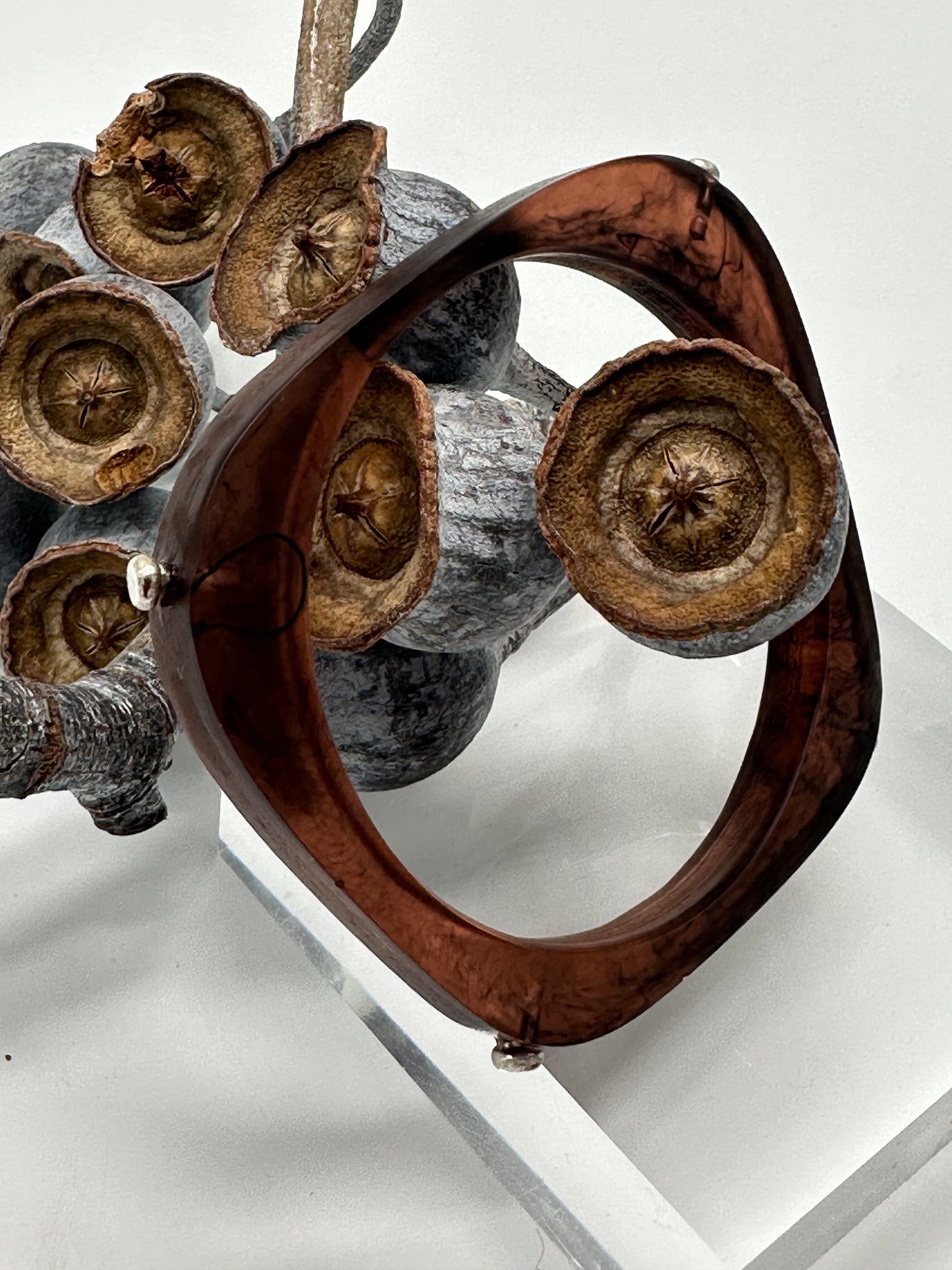 Tortoise Shell 'square round' bangle with silver