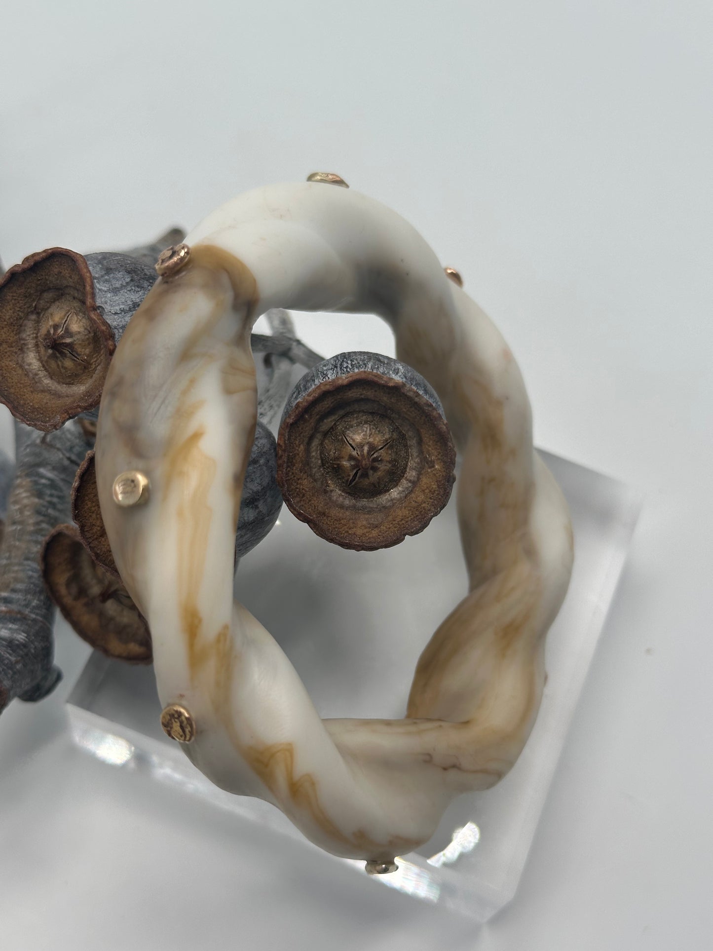 Cream/Coffee Coloured Chunky twist resin & Gold bangle