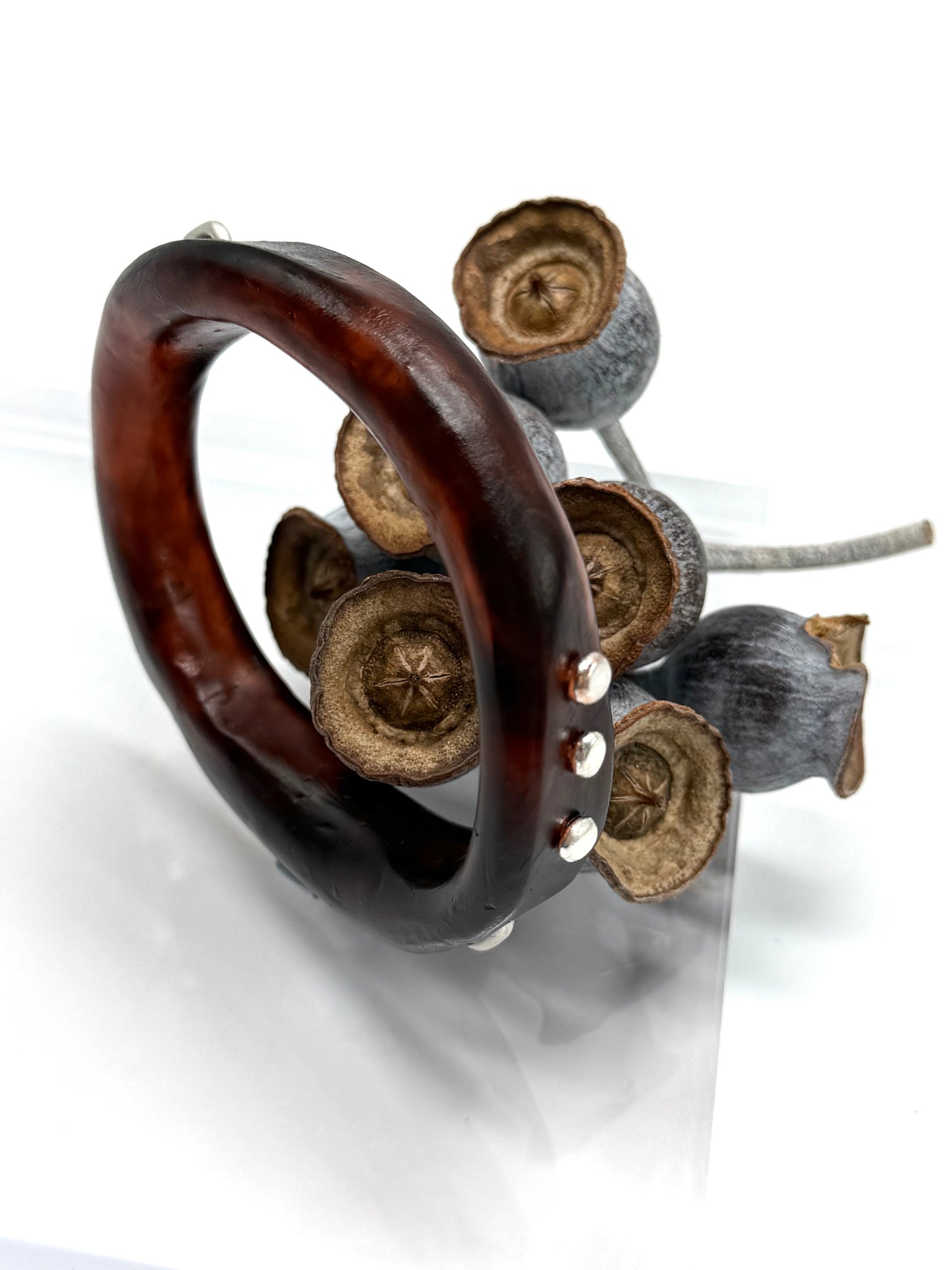 Tortoise Shell resin with silver rivets 'woopy' bangle