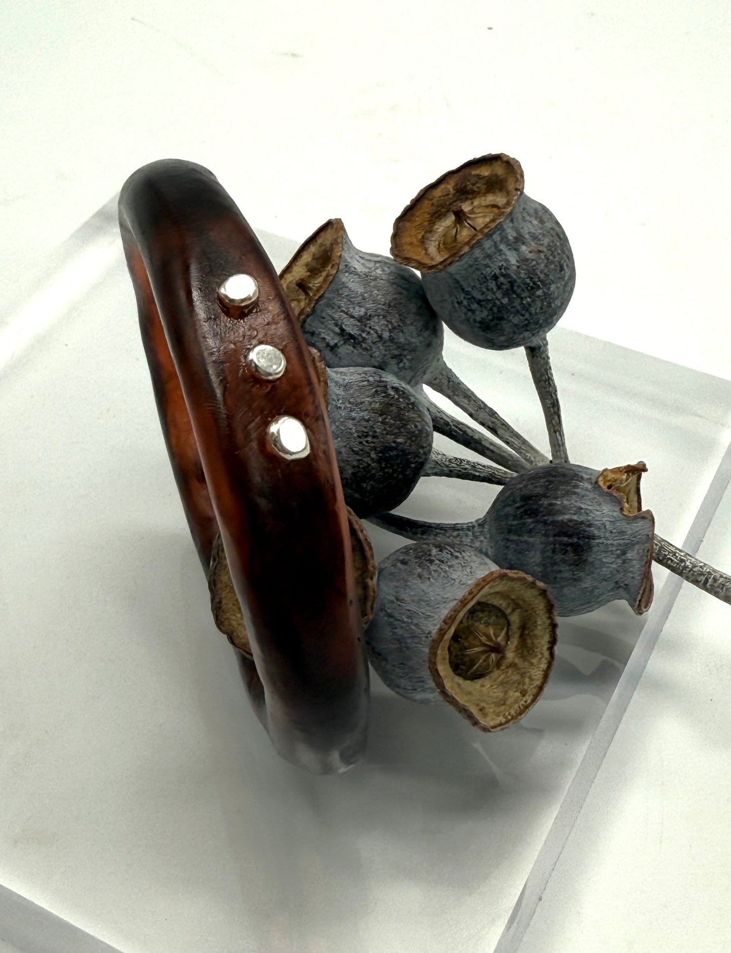 Tortoise Shell resin with silver rivets 'woopy' bangle