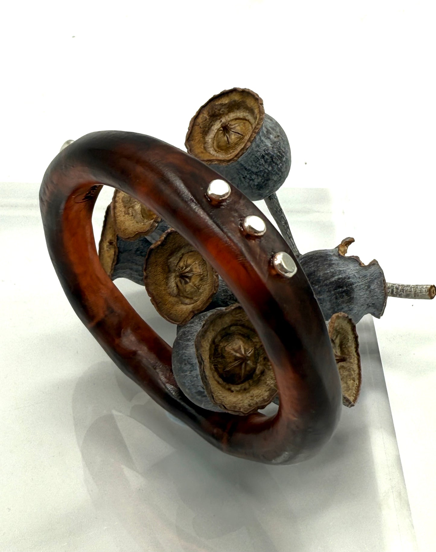 Tortoise Shell resin woopy bangle - XL