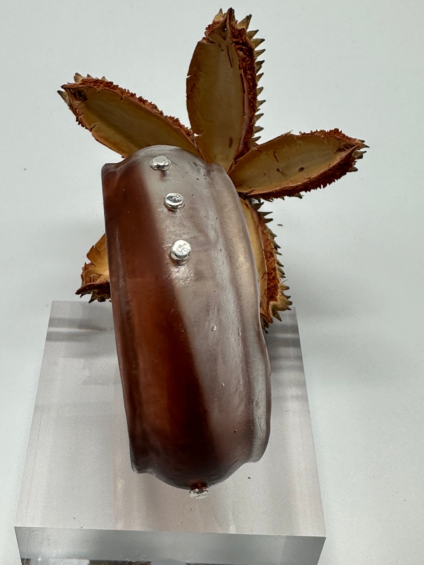 Brown & Clear Resin & silver wide bangle - regular hand size