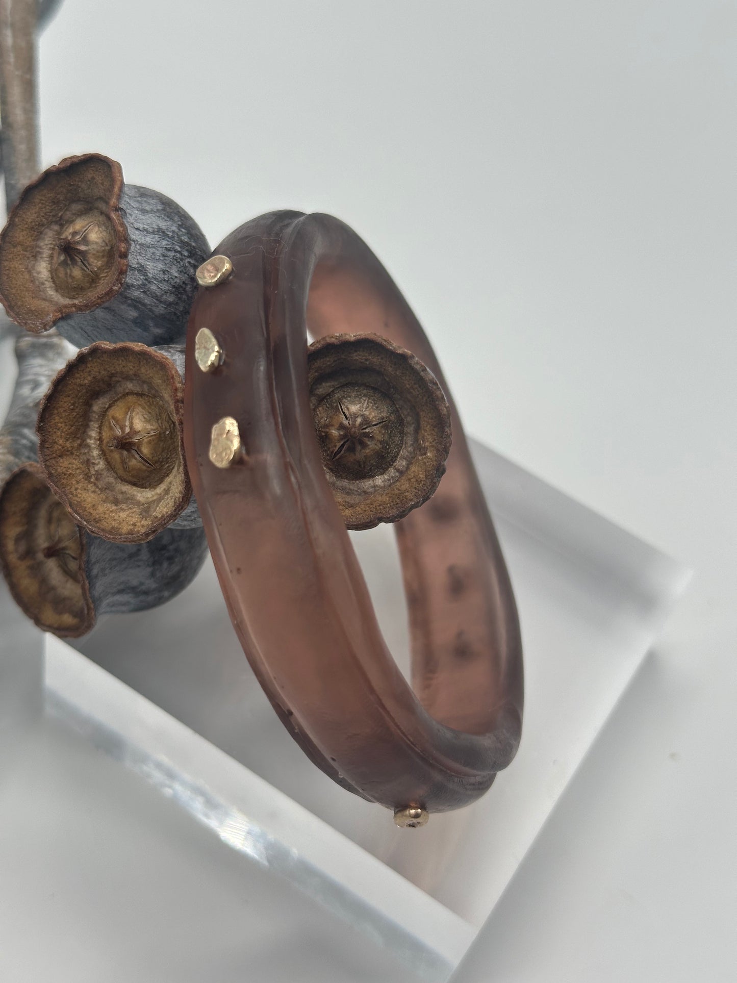 Translucent Brown rim bangle with gold nuggets