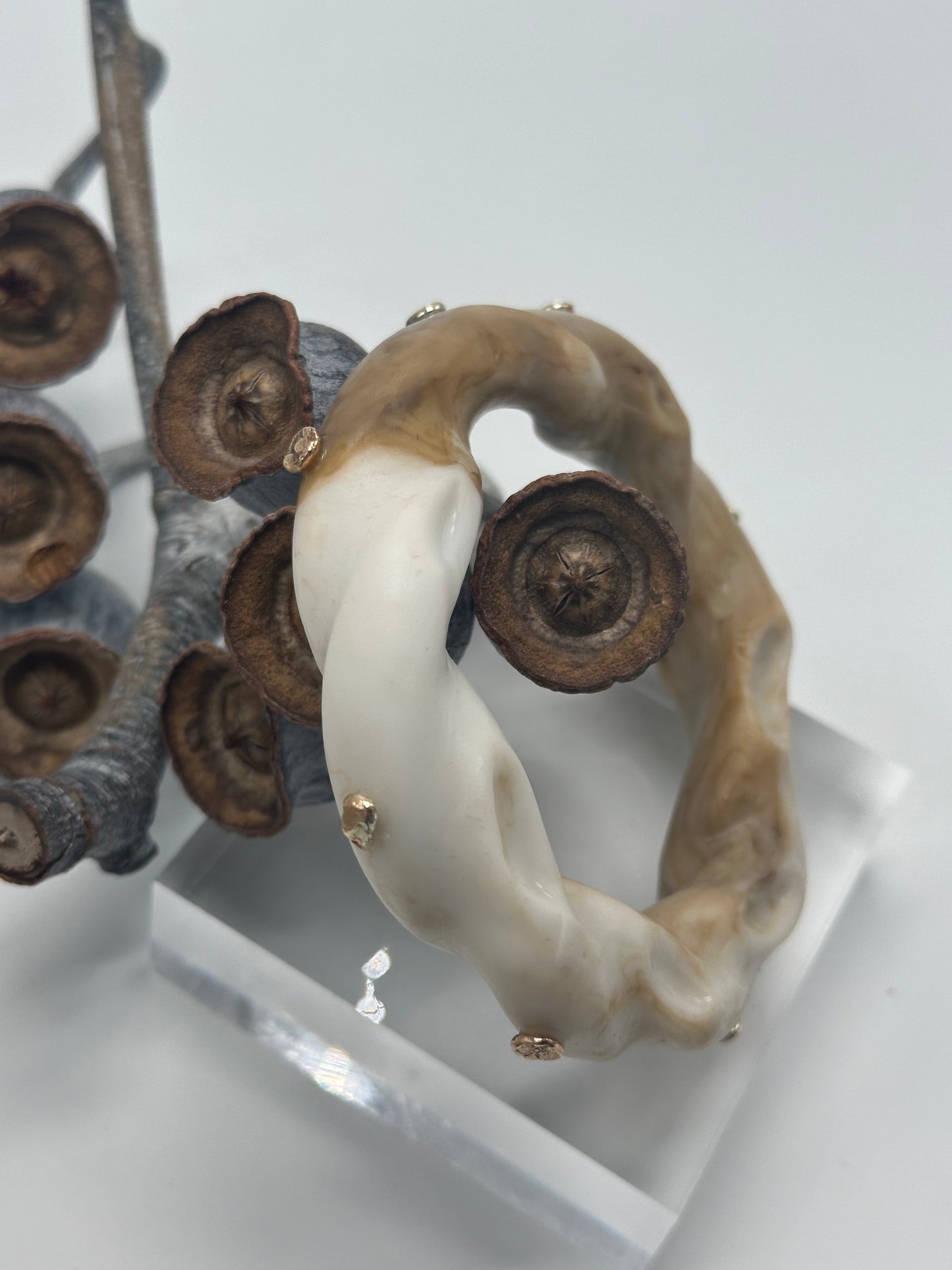Cream/Coffee Coloured Chunky twist resin & Gold bangle