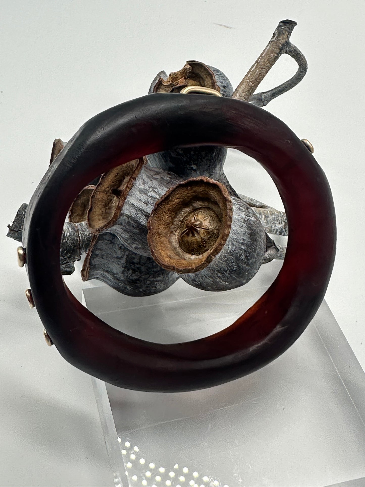 Tortoise Shell resin & Gold 'woopy' bangle